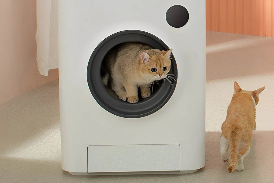 self cleaning cat litter box
